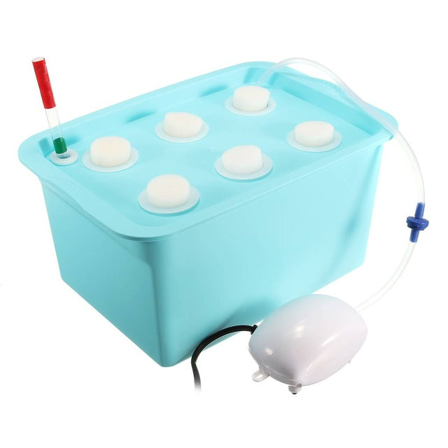 Planting Machine and Seedling Cultivation Box