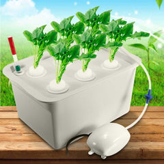 Planting Machine and Seedling Cultivation Box