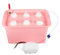 Planting Machine and Seedling Cultivation Box