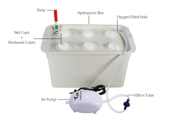 Planting Machine and Seedling Cultivation Box