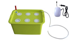 Planting Machine and Seedling Cultivation Box